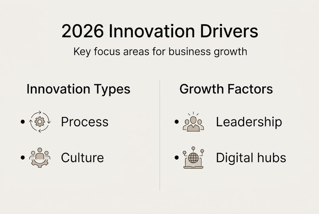 Infographic outlining innovation drivers and factors