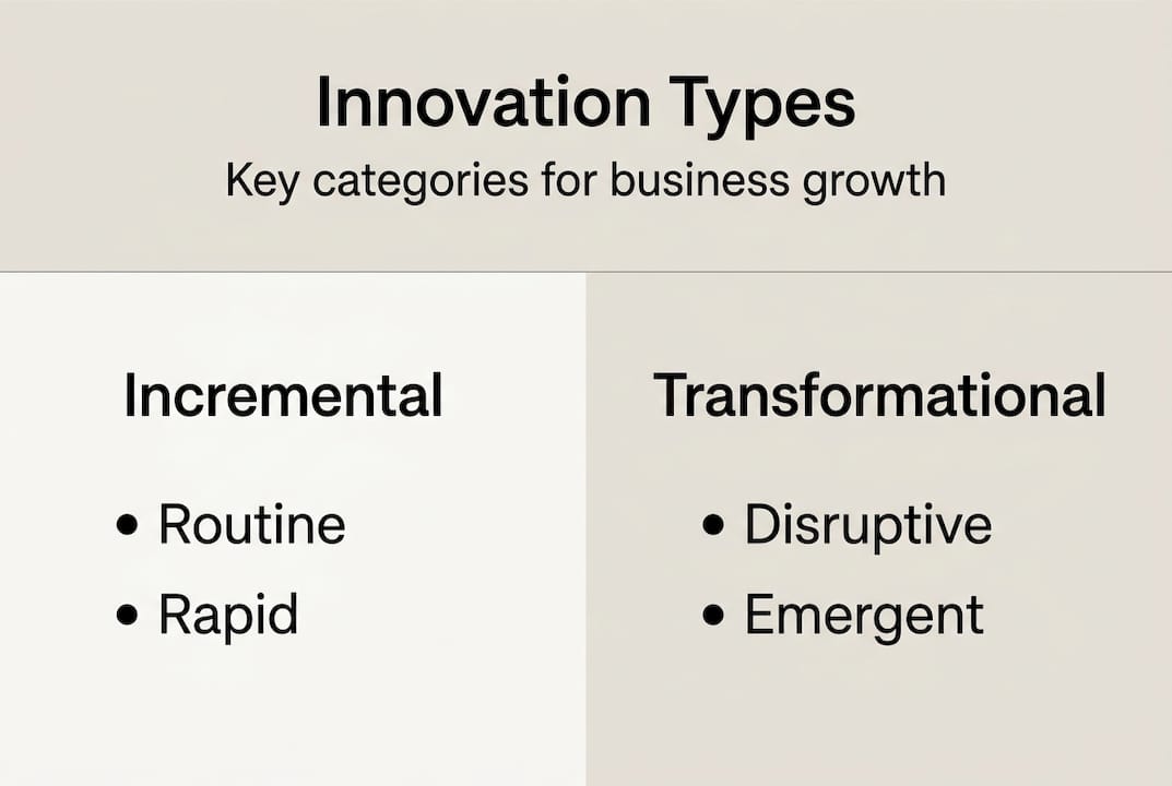 Infographic of incremental and transformational innovation