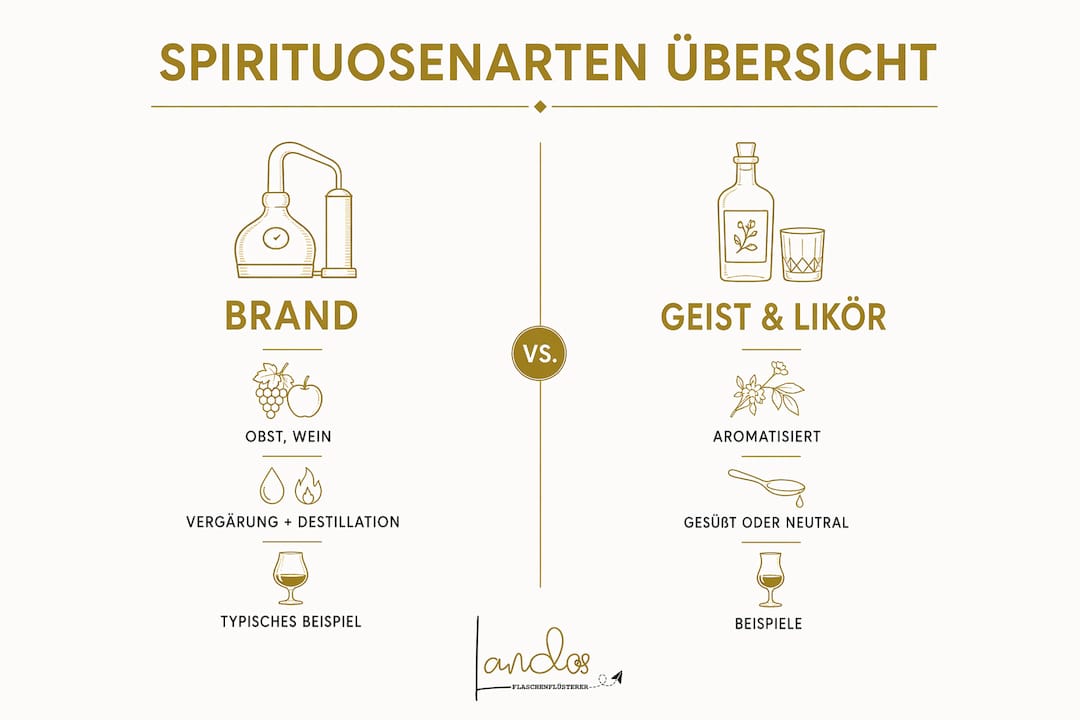 Übersichtliche Infografik: Unterschiede und Gemeinsamkeiten von Brand, Geist und Likör im direkten Vergleich