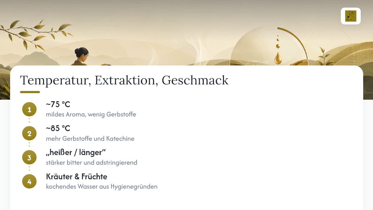 Temperatur und Teeextraktion im Vergleich
