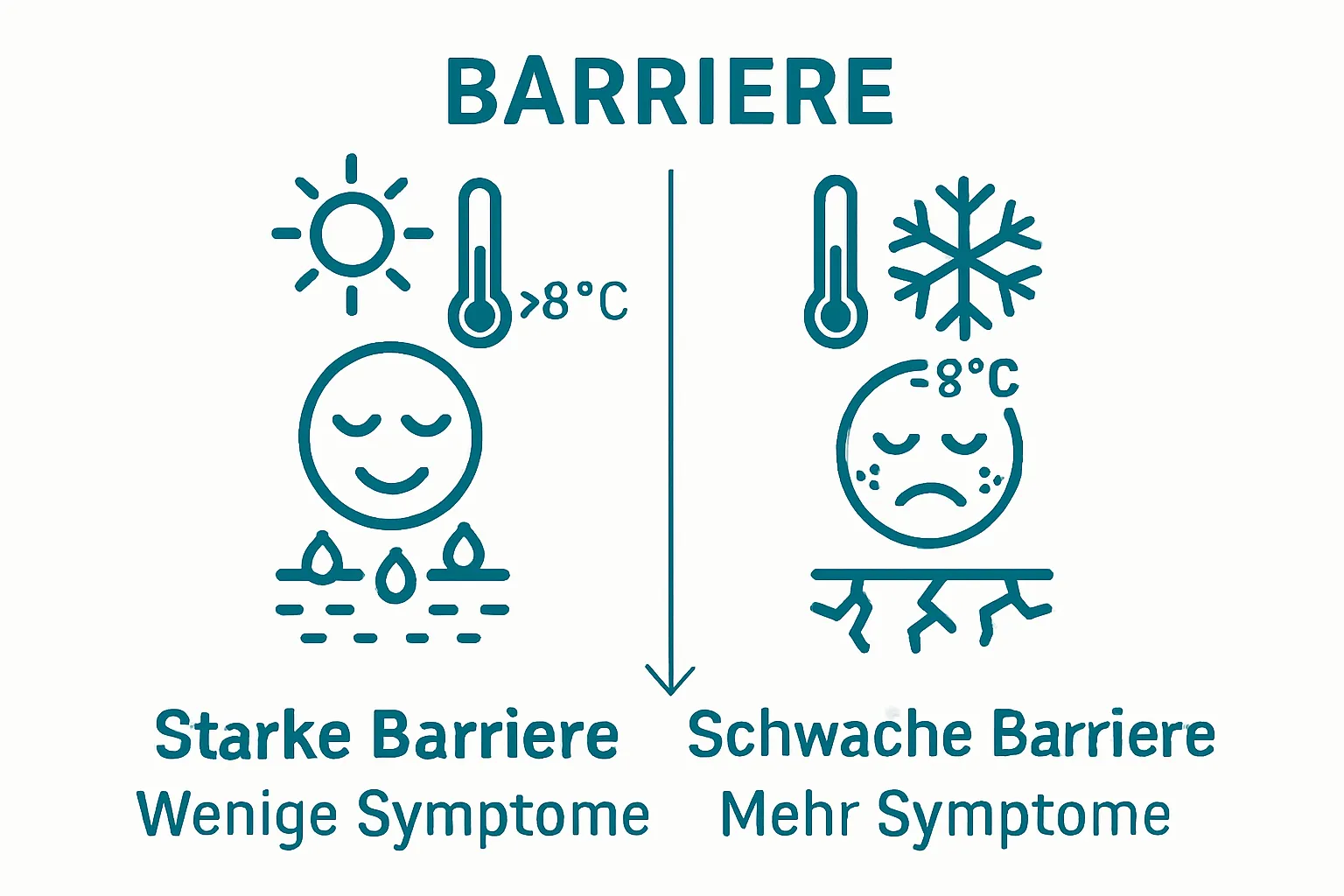 Infografik Vergleich Hautbarriere über und unter 8 Grad bei Neurodermitis