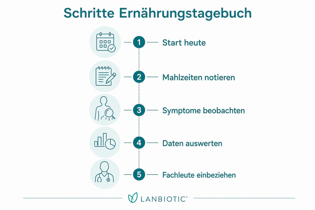 Die Infografik veranschaulicht, wie man ein Ernährungstagebuch Schritt für Schritt führt.