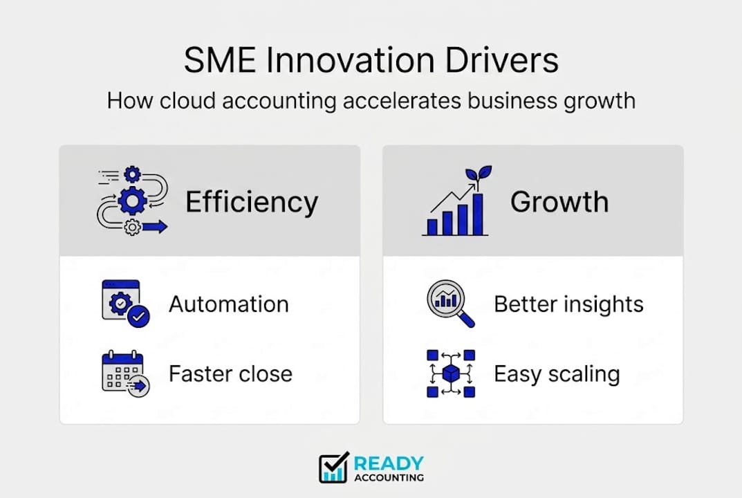 Infographic about SME innovation drivers