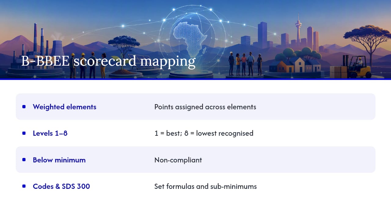 B-BBEE scorecard structure and levels