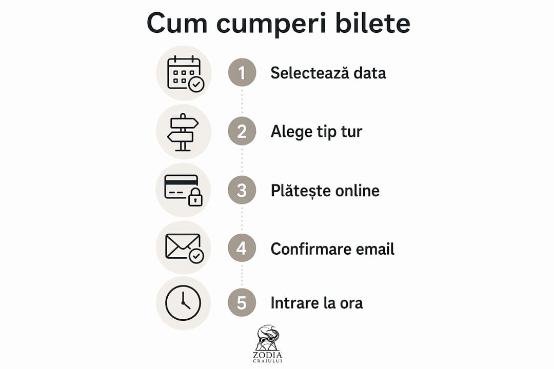 Infografic: Cum să îți cumperi bilete la Castelul Peleș, pas cu pas