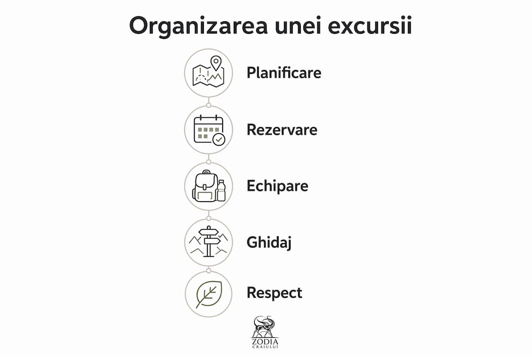Infografic: Cum să organizezi pas cu pas o excursie cu ghid
