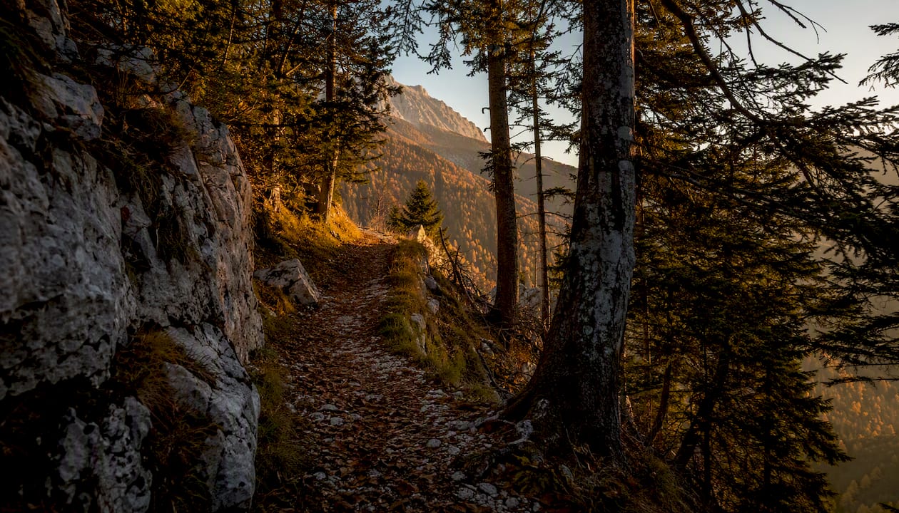 Potecă de munte în Piatra Craiului, scăldată în lumina caldă a apusului