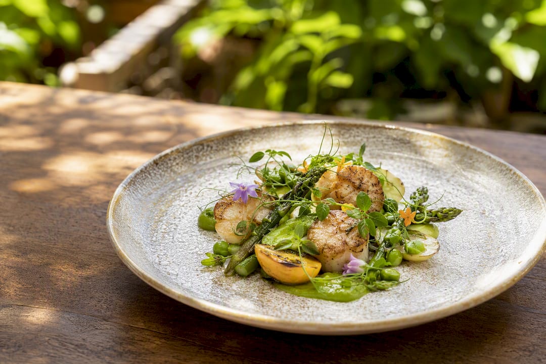 Seasonal dish plated on restaurant table