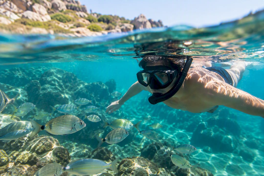 Fare snorkeling nelle acque di Cala Coticcio