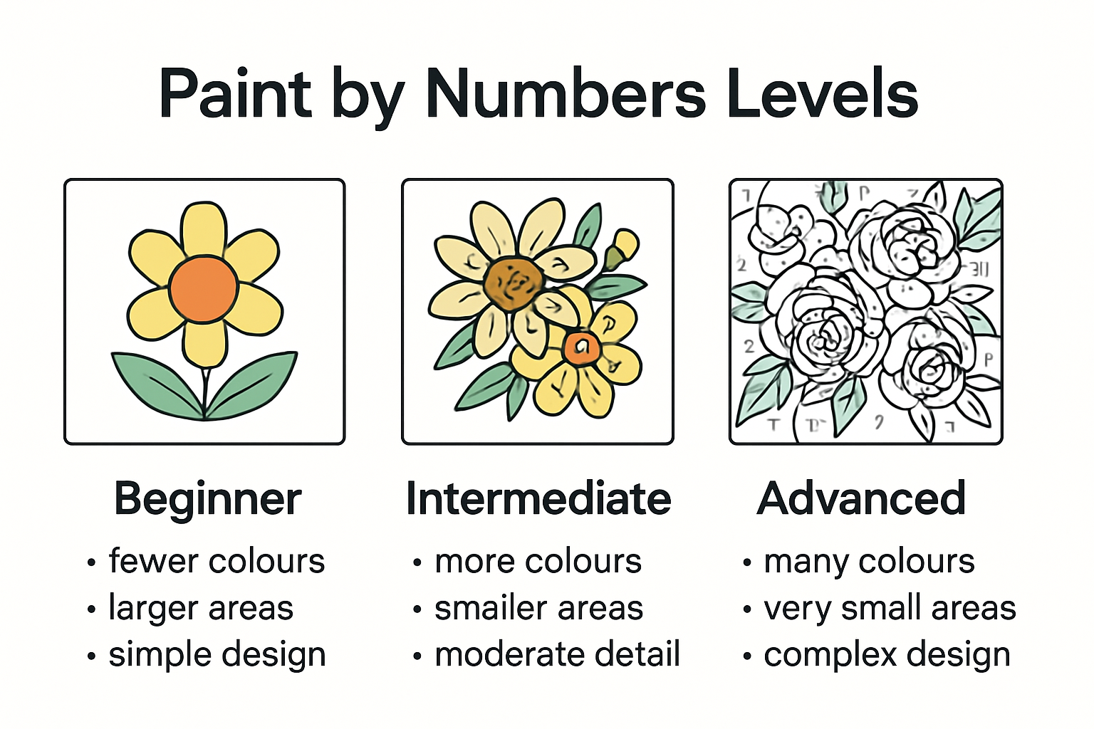 Comparison of paint by numbers kit levels infographic