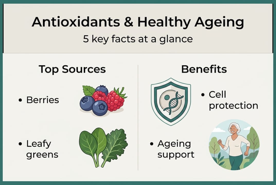 Infographic on antioxidants and healthy ageing facts