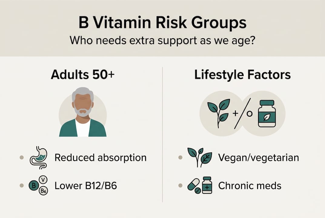 Infographic of B vitamin risk groups