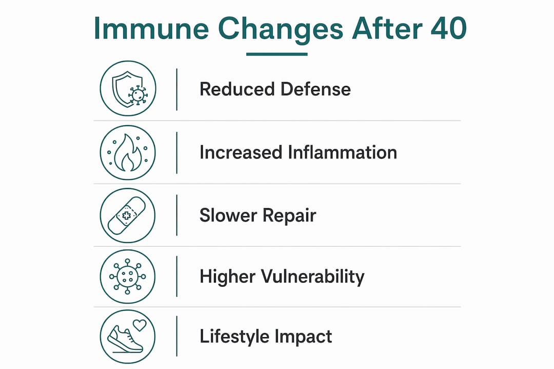 Infographic illustrating immune system changes after 40