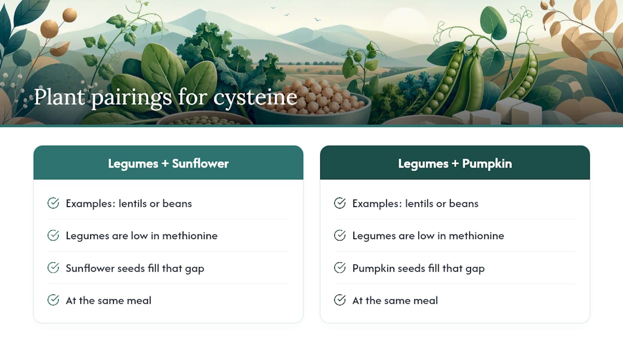 Diagram of plant-based food pairings for cysteine