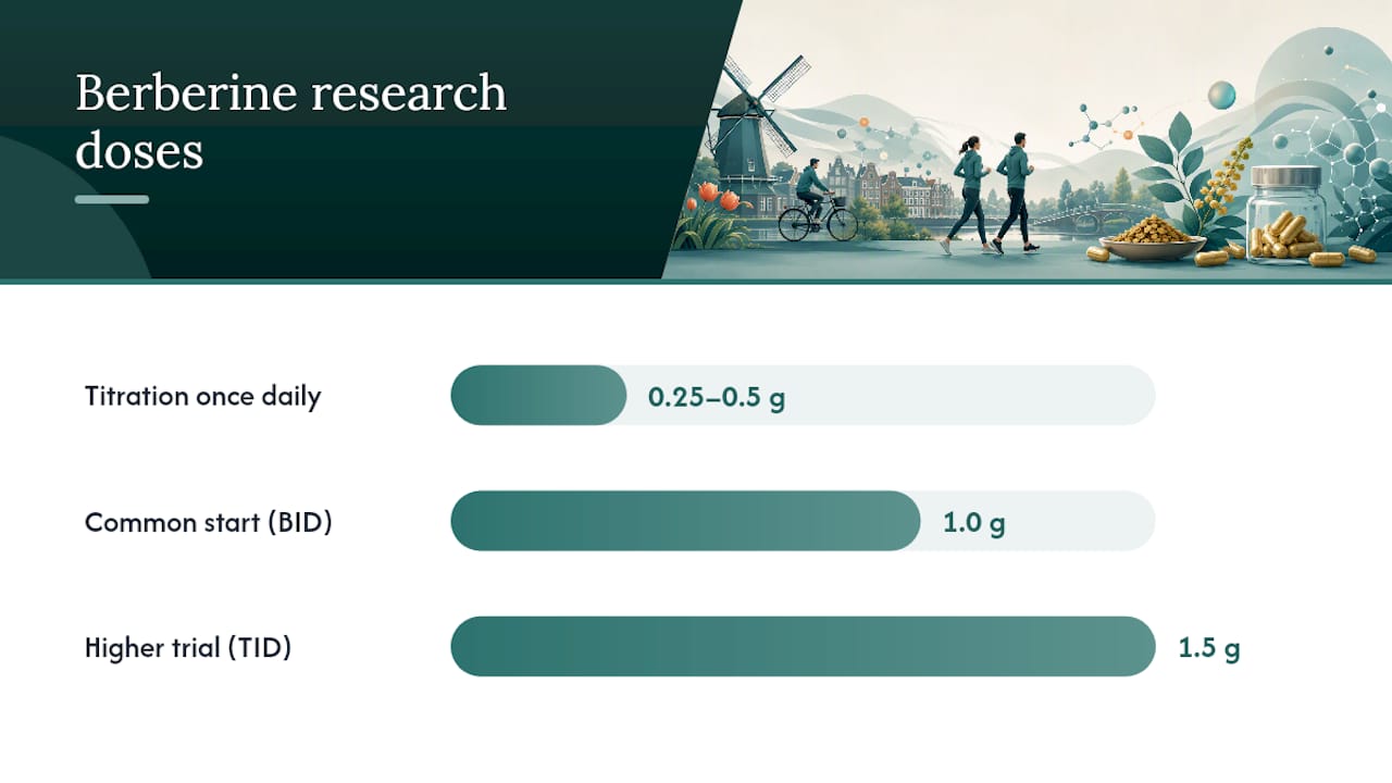 Berberine study dose range with one gram highlighted