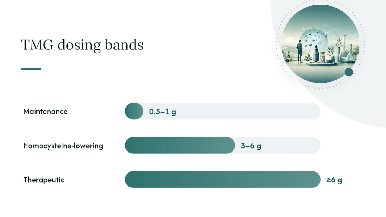 Tmg bijwerkingen: wat bepaalt het risico op klachten? — overview diagram