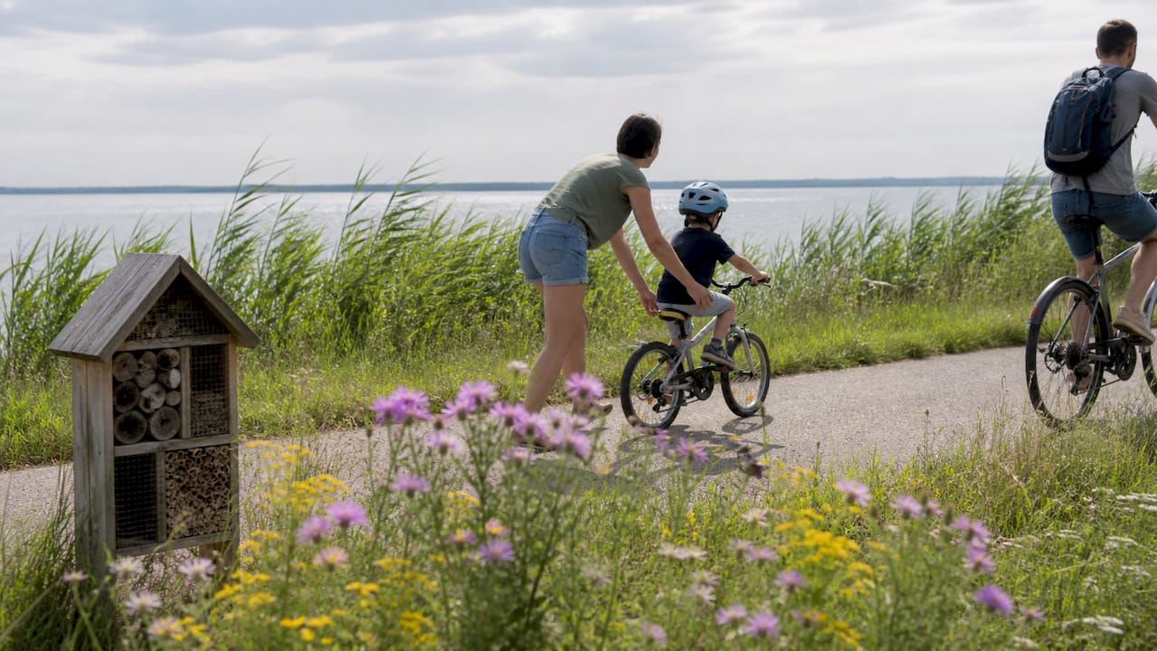 Mit der ganzen Familie entspannt auf dem Rad rund um den Neusiedler See unterwegs – auf angenehm flachen Wegen und mit herrlichem Ausblick auf die Landschaft.