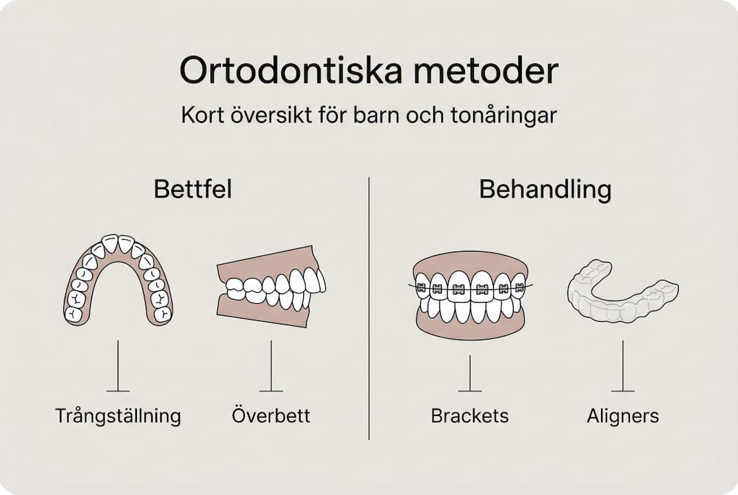 Illustration: Olika tandregleringsmetoder och vanliga bettproblem