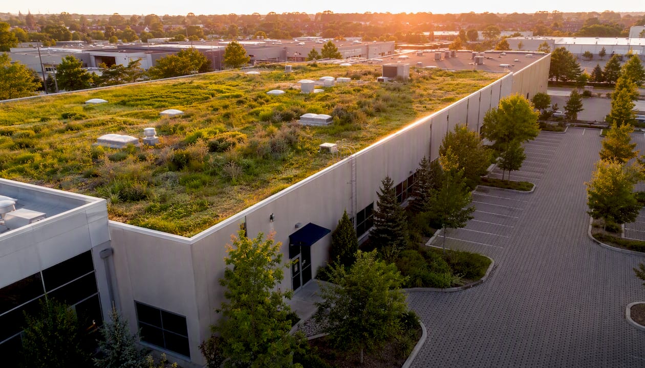 Green roof and native landscaping on industrial building