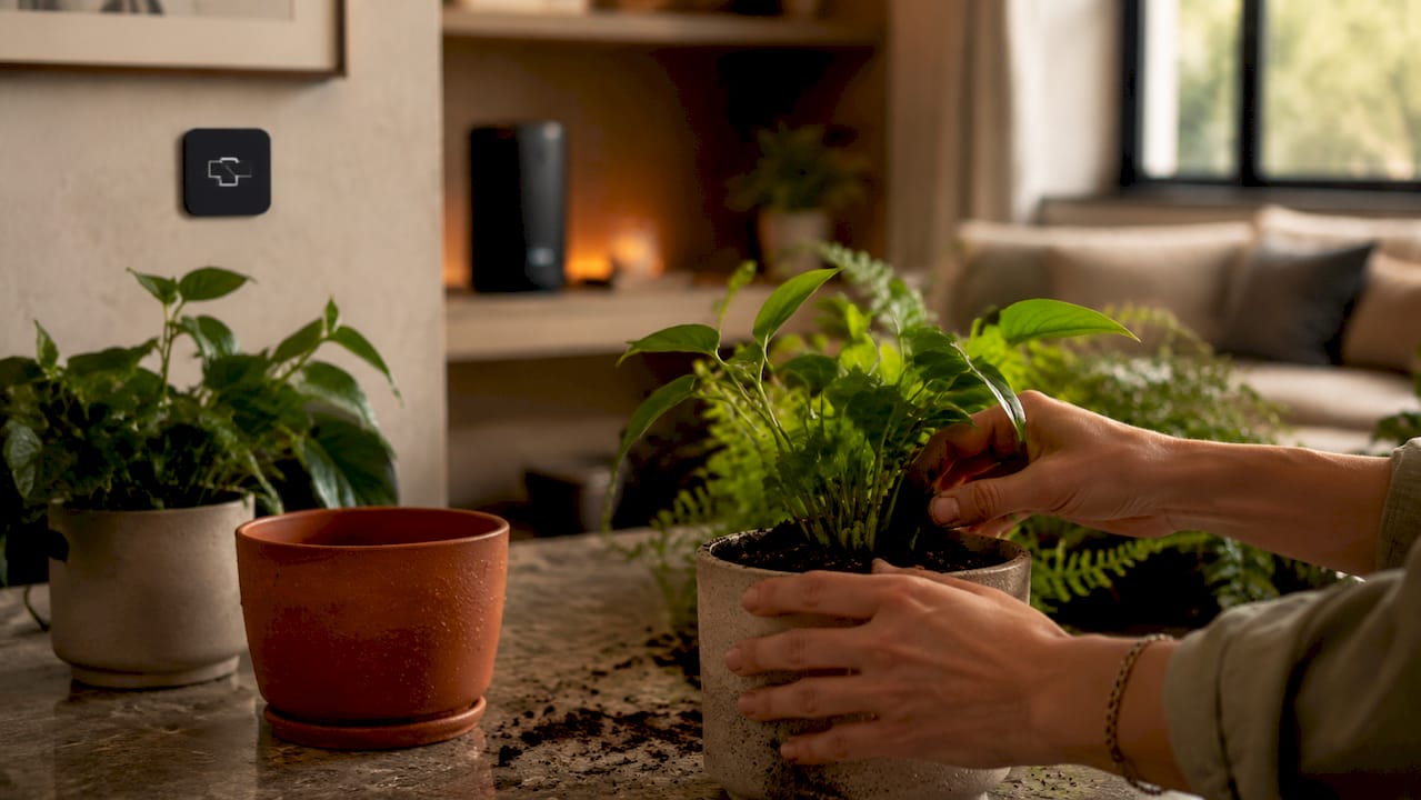 Hands tending plants near discreet smart sensors