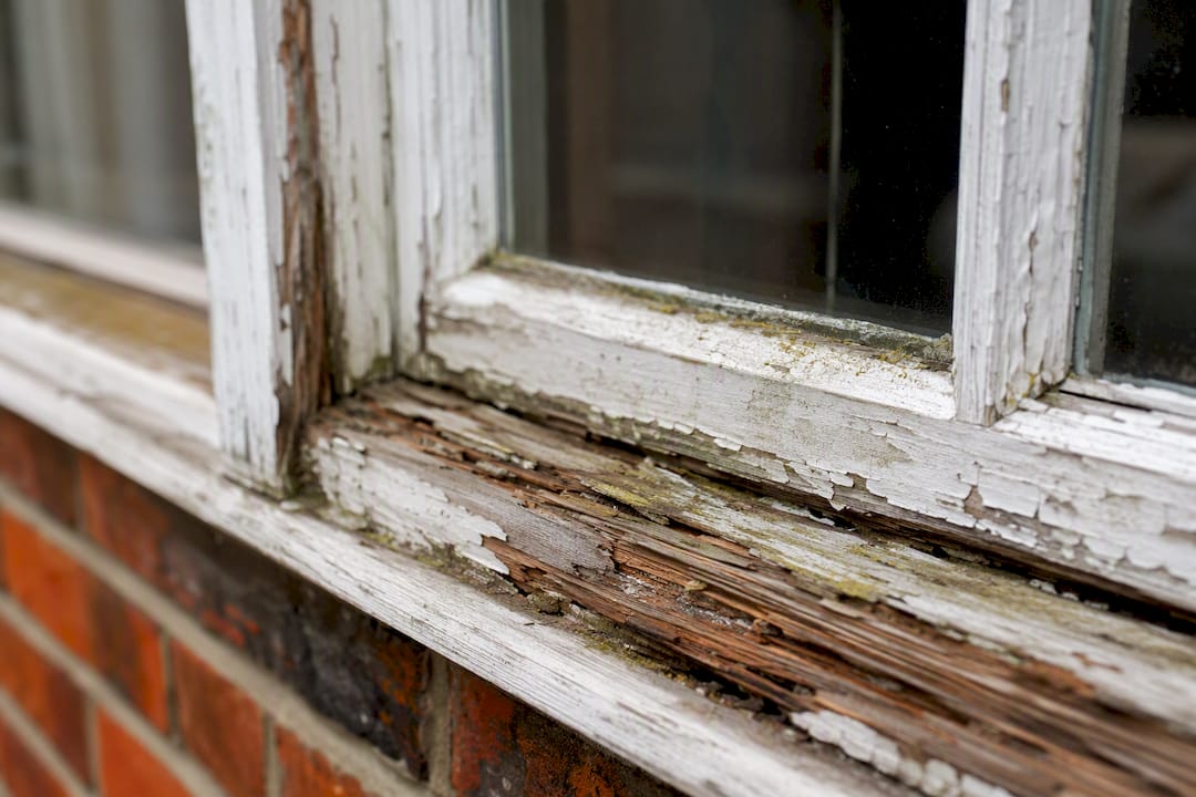 Close-up of rotten wood window frame