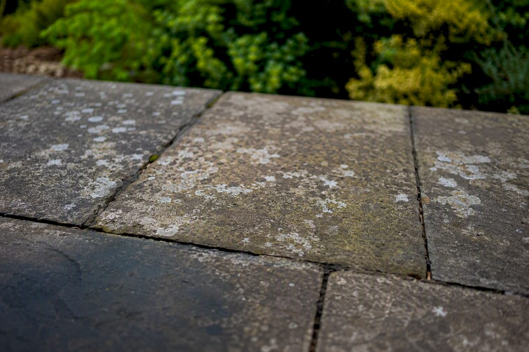 Close-up of UK patio surface and joints