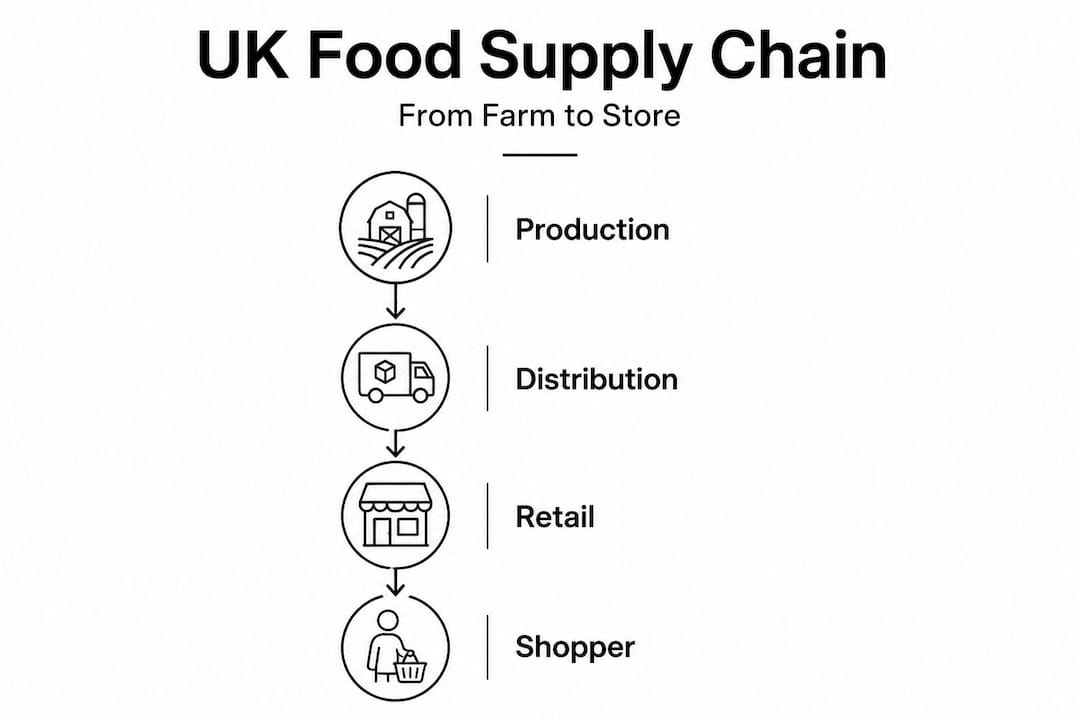 Infographic showing UK food supply chain stages