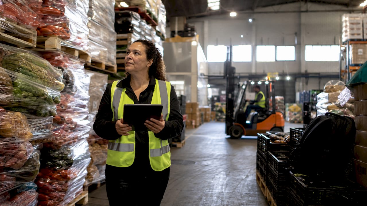 Warehouse manager inspecting food pallets