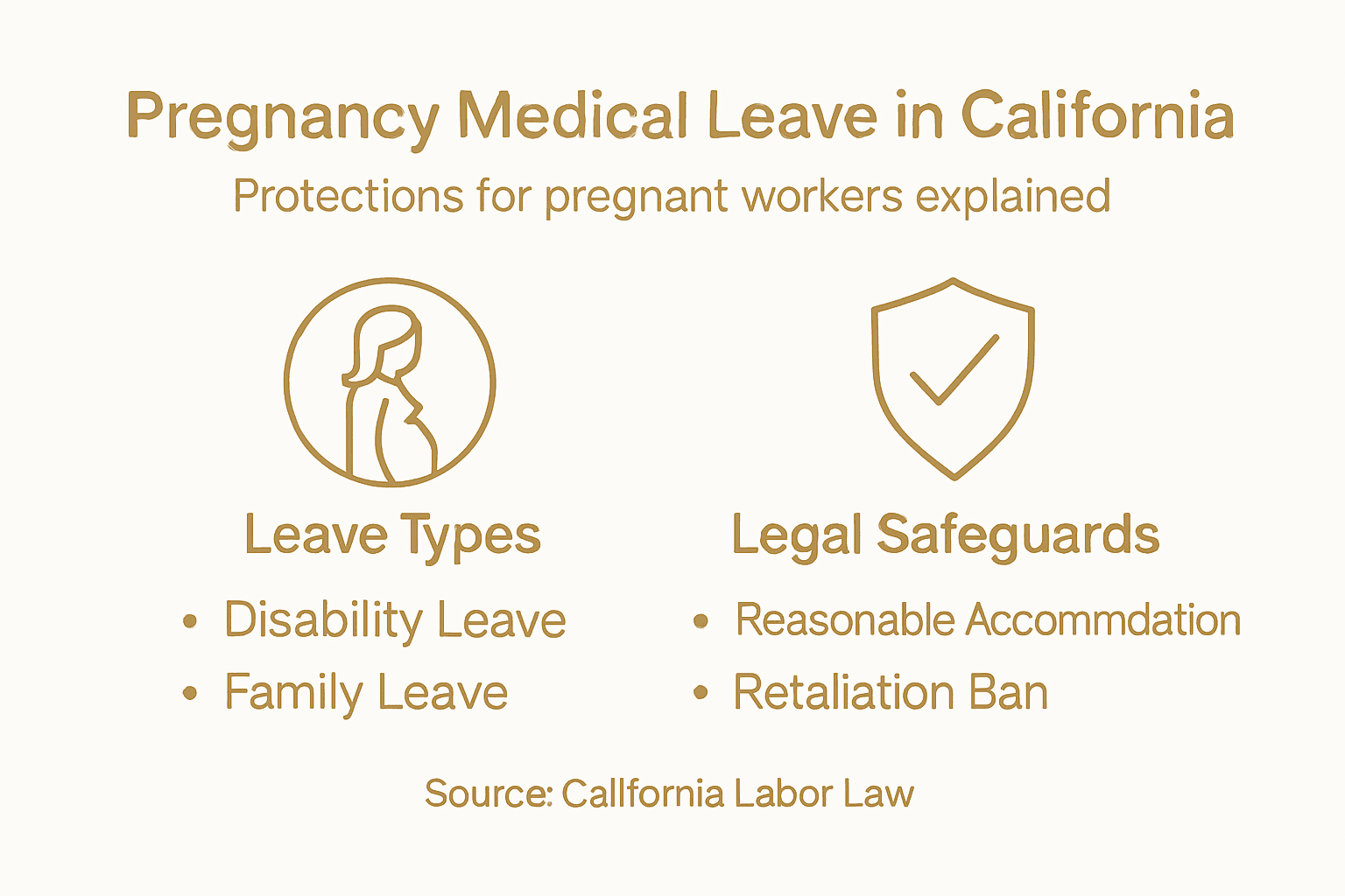 Infographic about pregnancy and medical leave protections