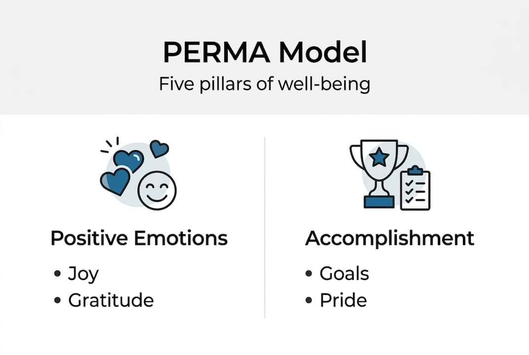PERMA model infographic with main pillars