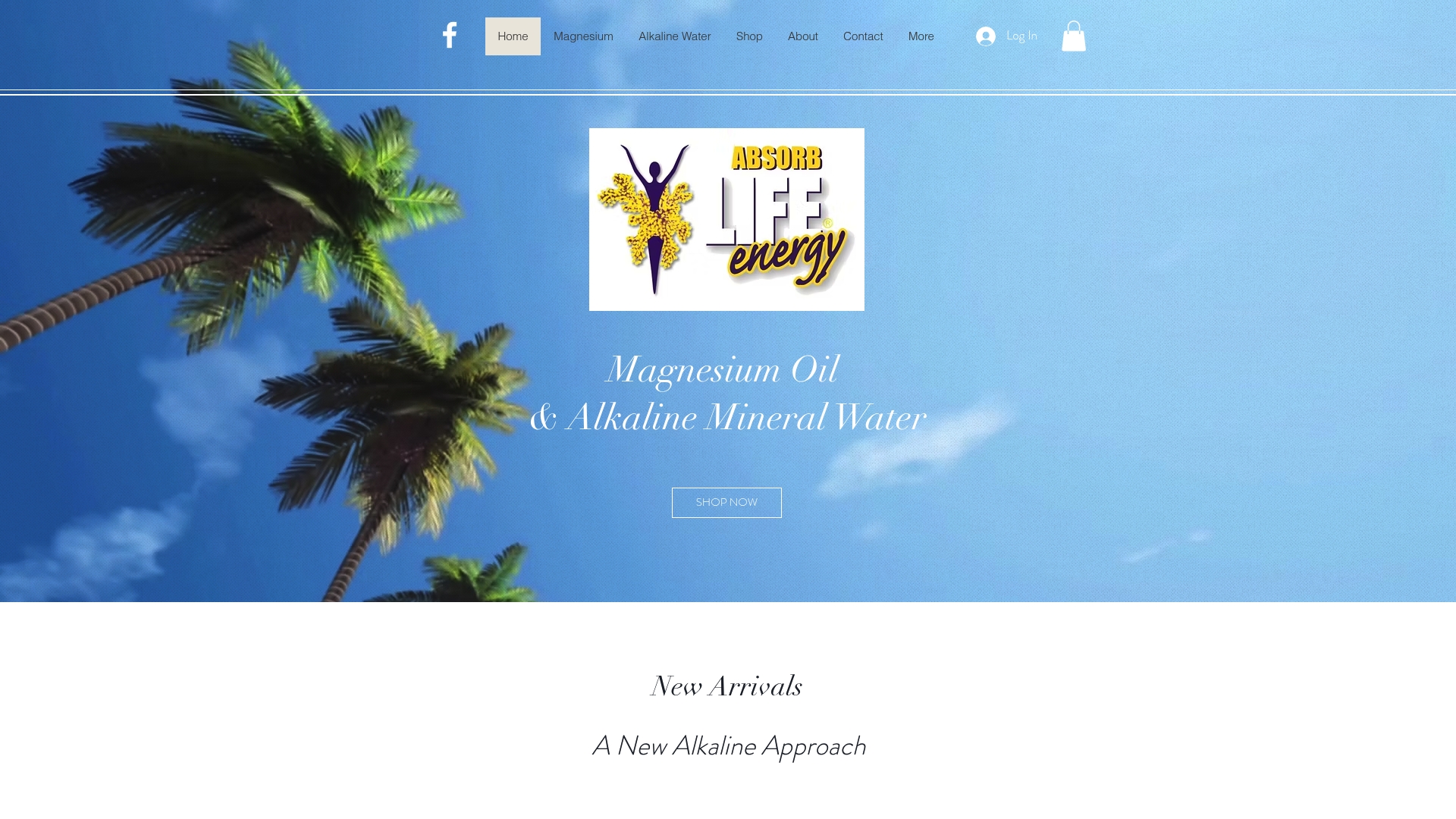 https://absorblifeenergy.com