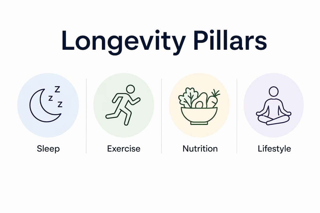Infographic displaying four pillars of longevity routine