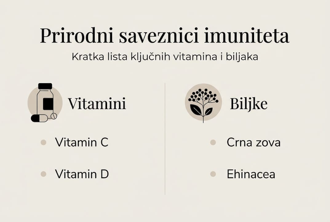 Infografik: Vitamini i lekovite biljke koje jačaju imunitet
