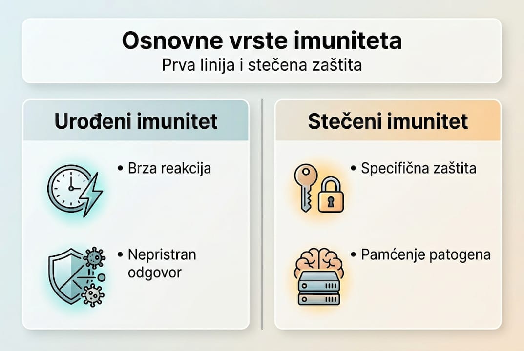 Prikaz različitih tipova imuniteta kroz infografiku