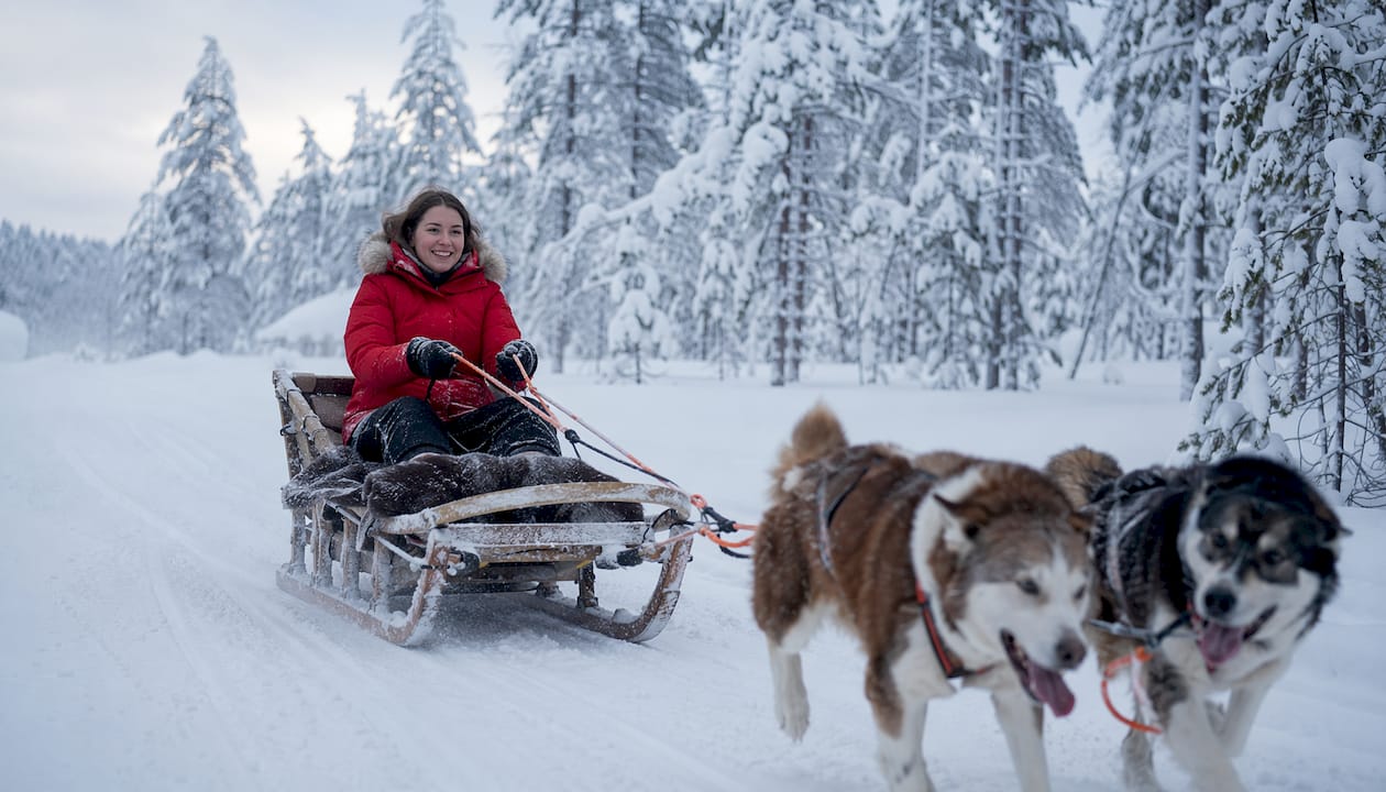 Group husky sledding on snowy forest trail