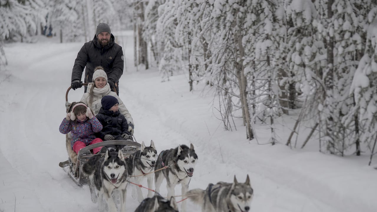 Family husky sledding in snowy forest