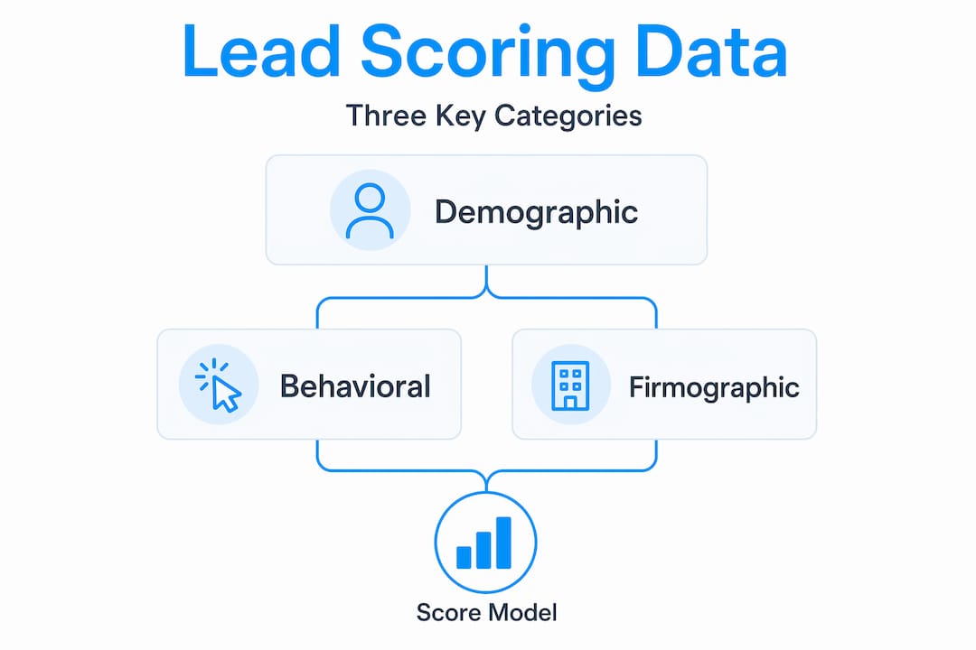 Hierarchy infographic of lead scoring data types