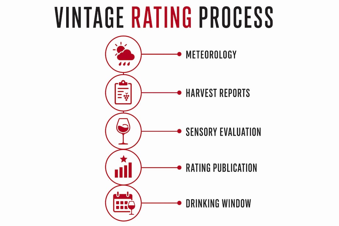 Infographic illustrating vintage wine rating process steps