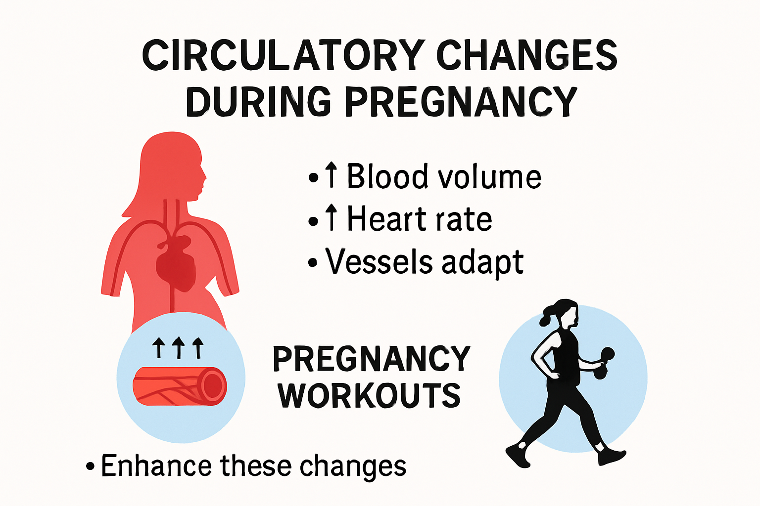 Infographic showing circulation changes and exercise impact during pregnancy.