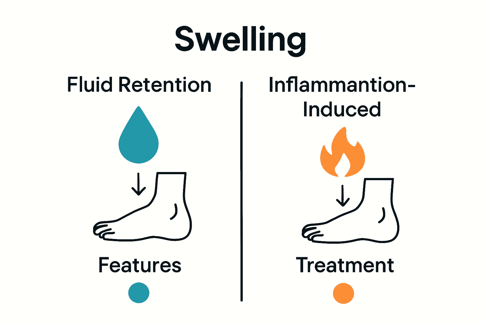 Infographic comparing fluid retention and inflammation-induced leg swelling types.