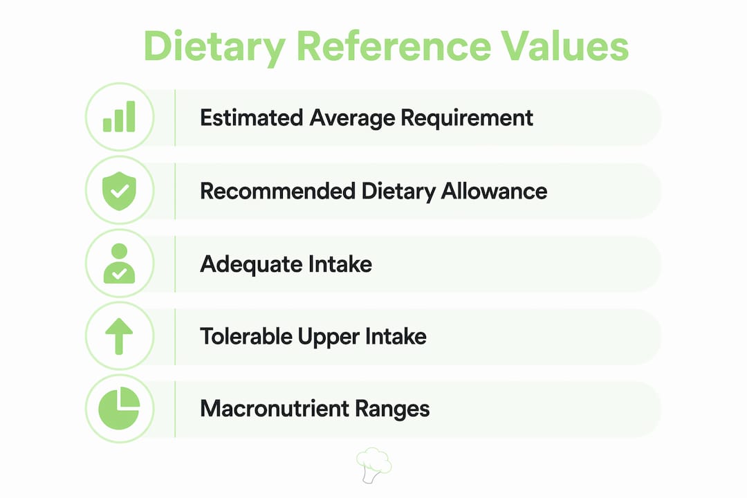 Infographic illustrating types of dietary reference values