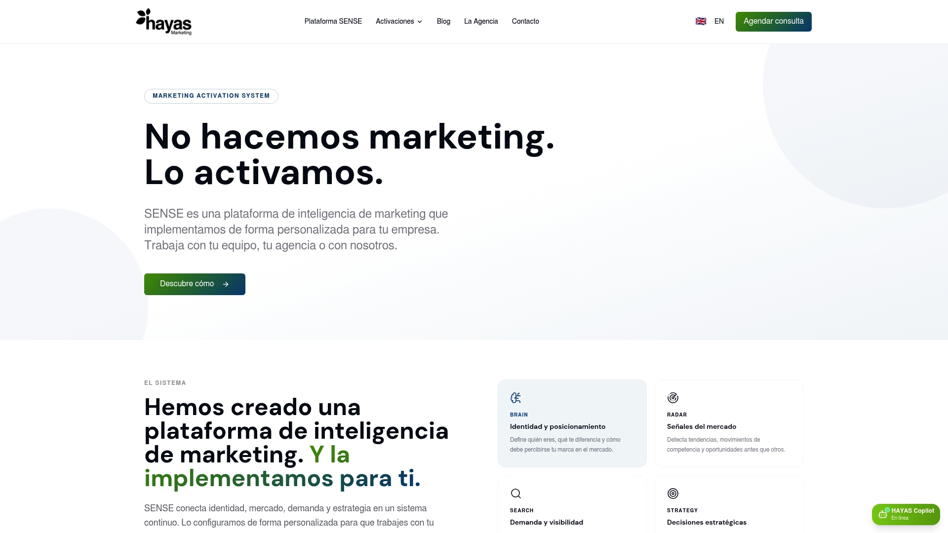 https://hayasmarketing.com