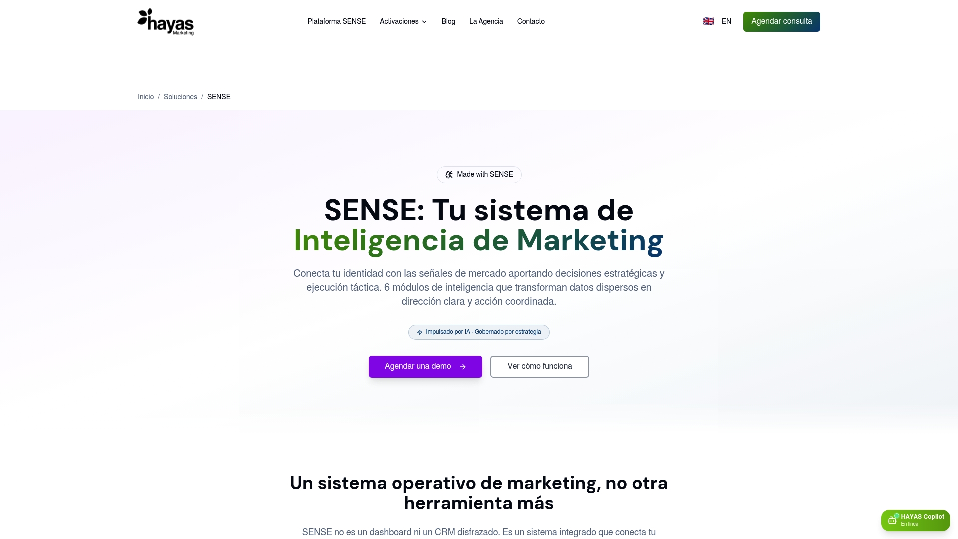 https://hayasmarketing.com/es/soluciones/plataforma-inteligencia-marketing