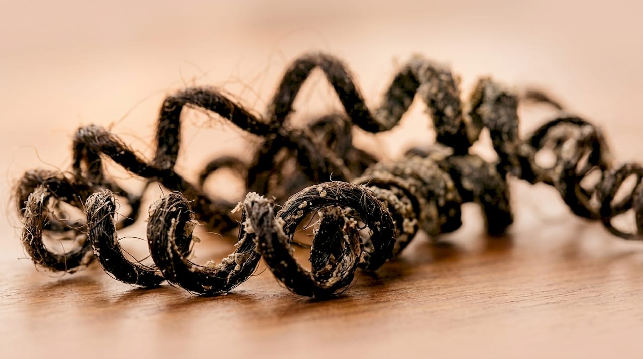 Curly hair strands with buildup close-up in lab