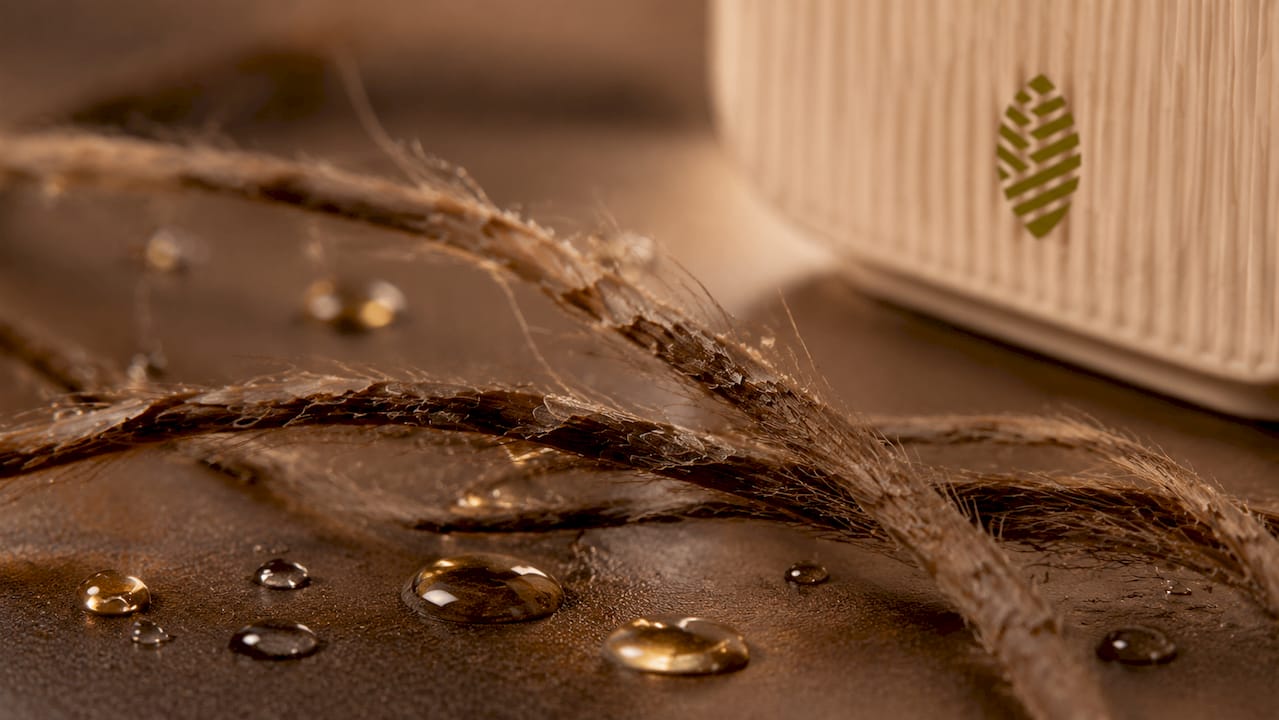 Macro view of damaged hair cuticle on textured hair