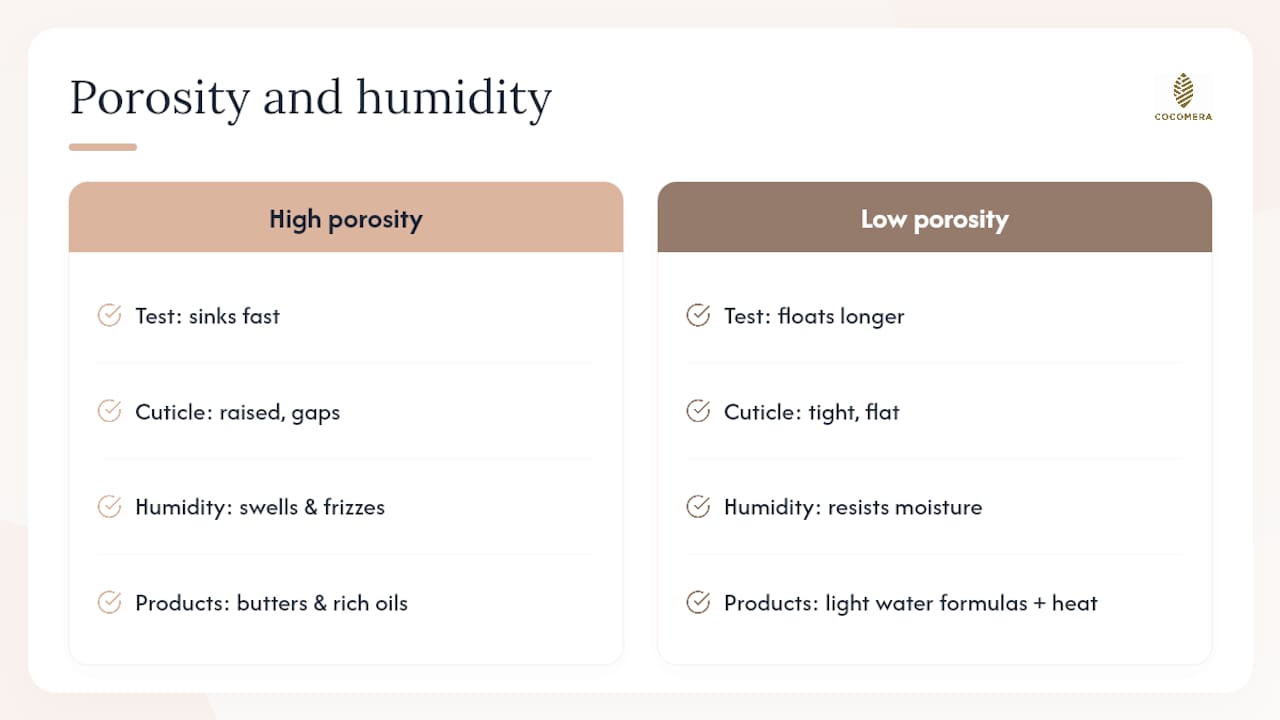 Porosity water test comparison for curly hair