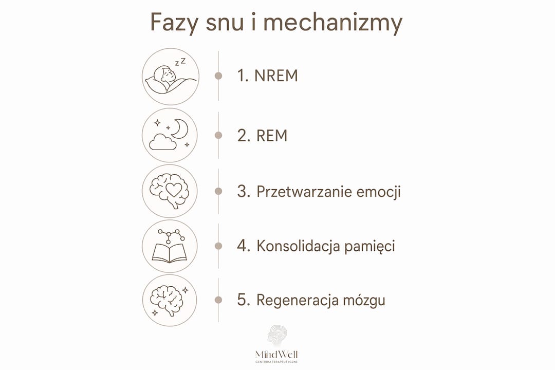 Infografika ukazująca poszczególne etapy snu i ich znaczenie dla naszego organizmu