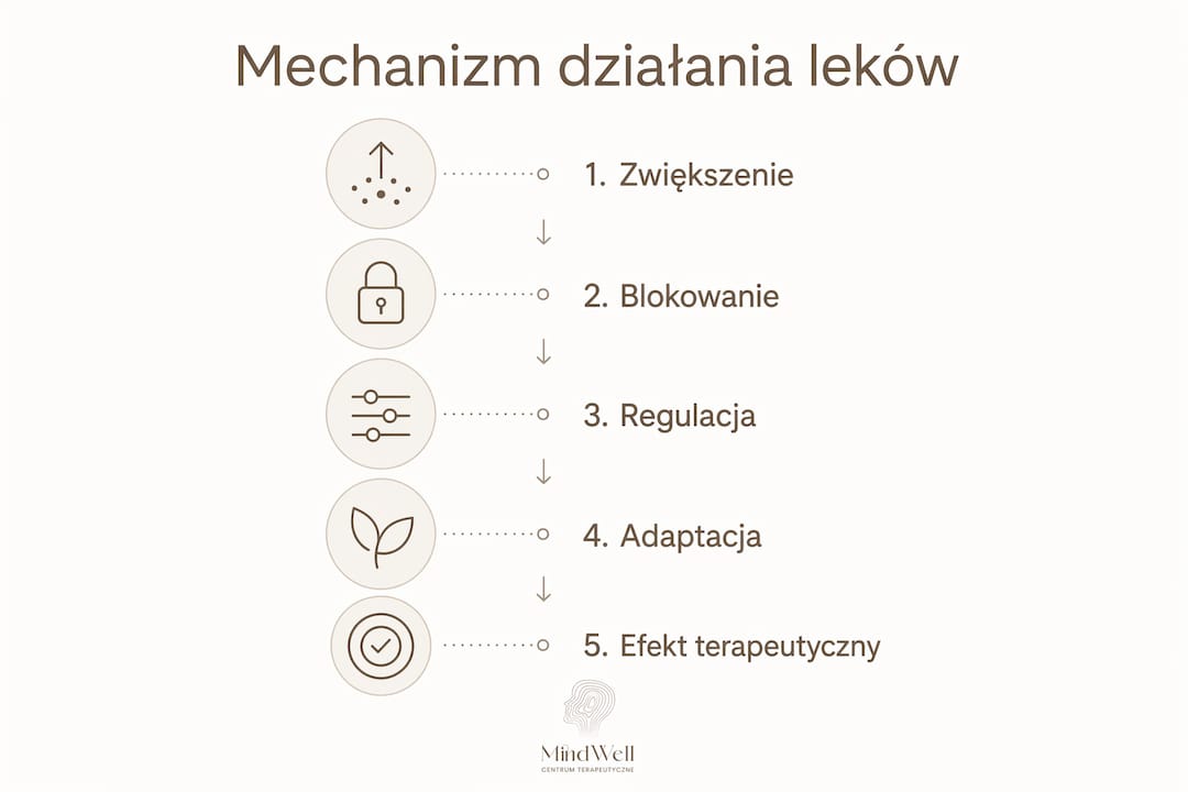 Grafika pokazująca, jak krok po kroku działają leki antydepresyjne