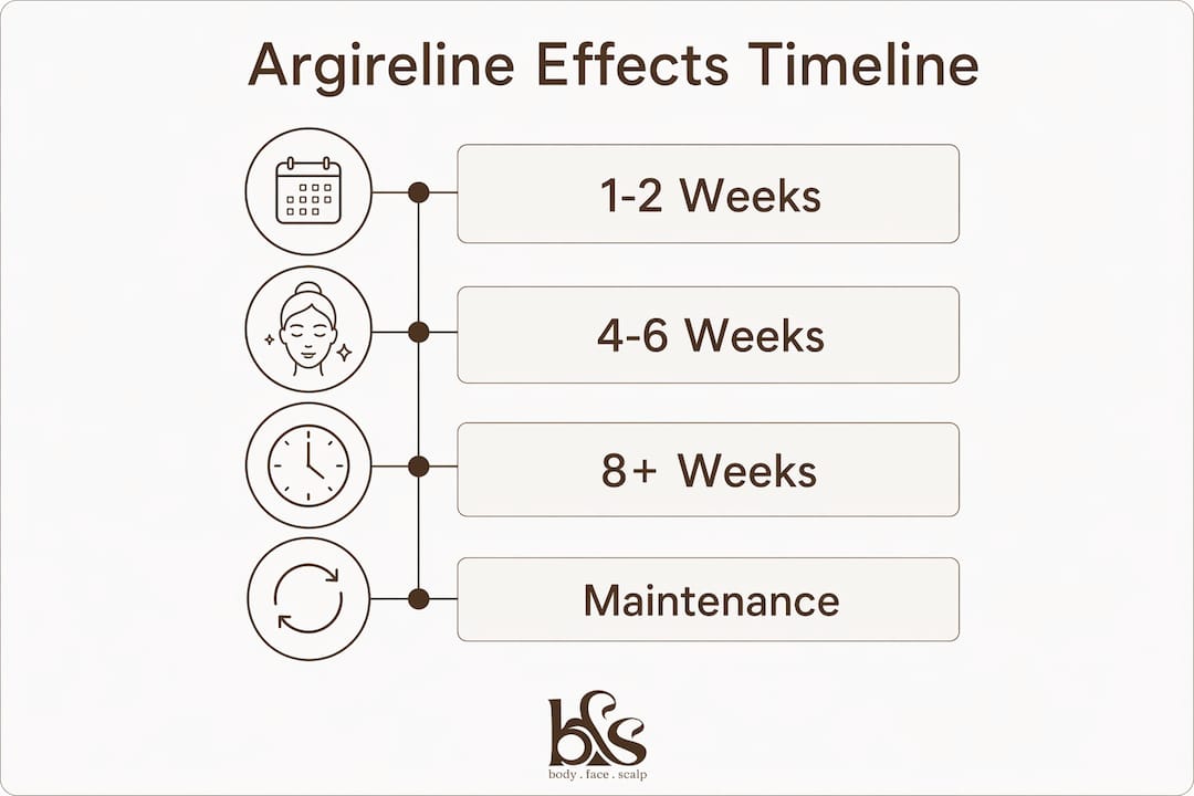 Infographic showing Argireline serum effect timeline