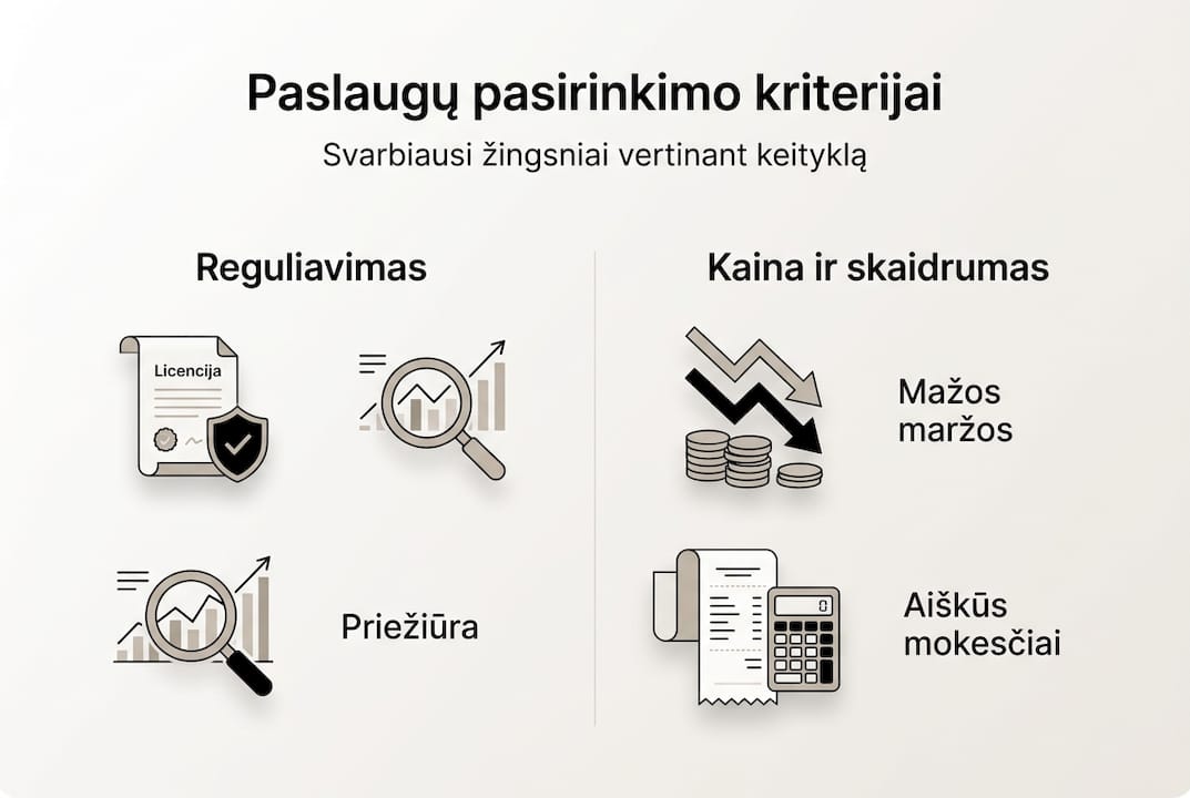 Infografikų paslaugų pasirinkimo kriterijų apžvalga vizualiai